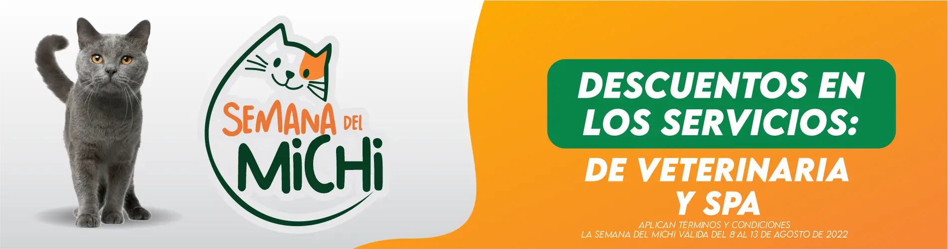BANNER AGRO_8 AGOSTO 1900X500 2