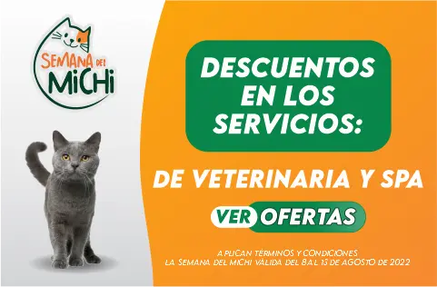 BANNER AGRO_8 AGOSTO 480X315 2 (1)